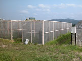 Greenhouse (inside)