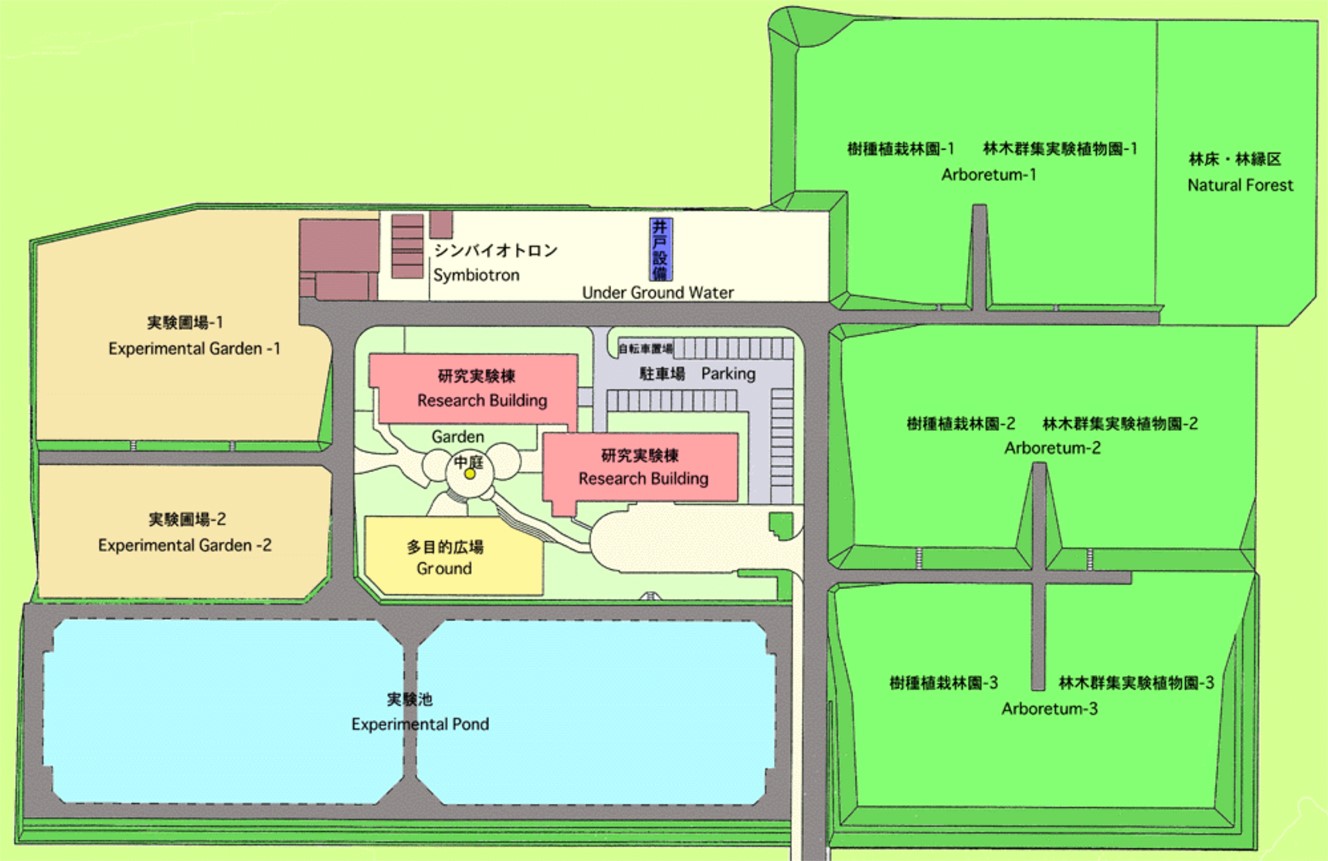 実験圃場 含樹種植栽林園 林⽊群集実験植物園 実験池