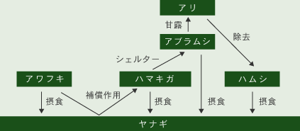 間接相互作用網