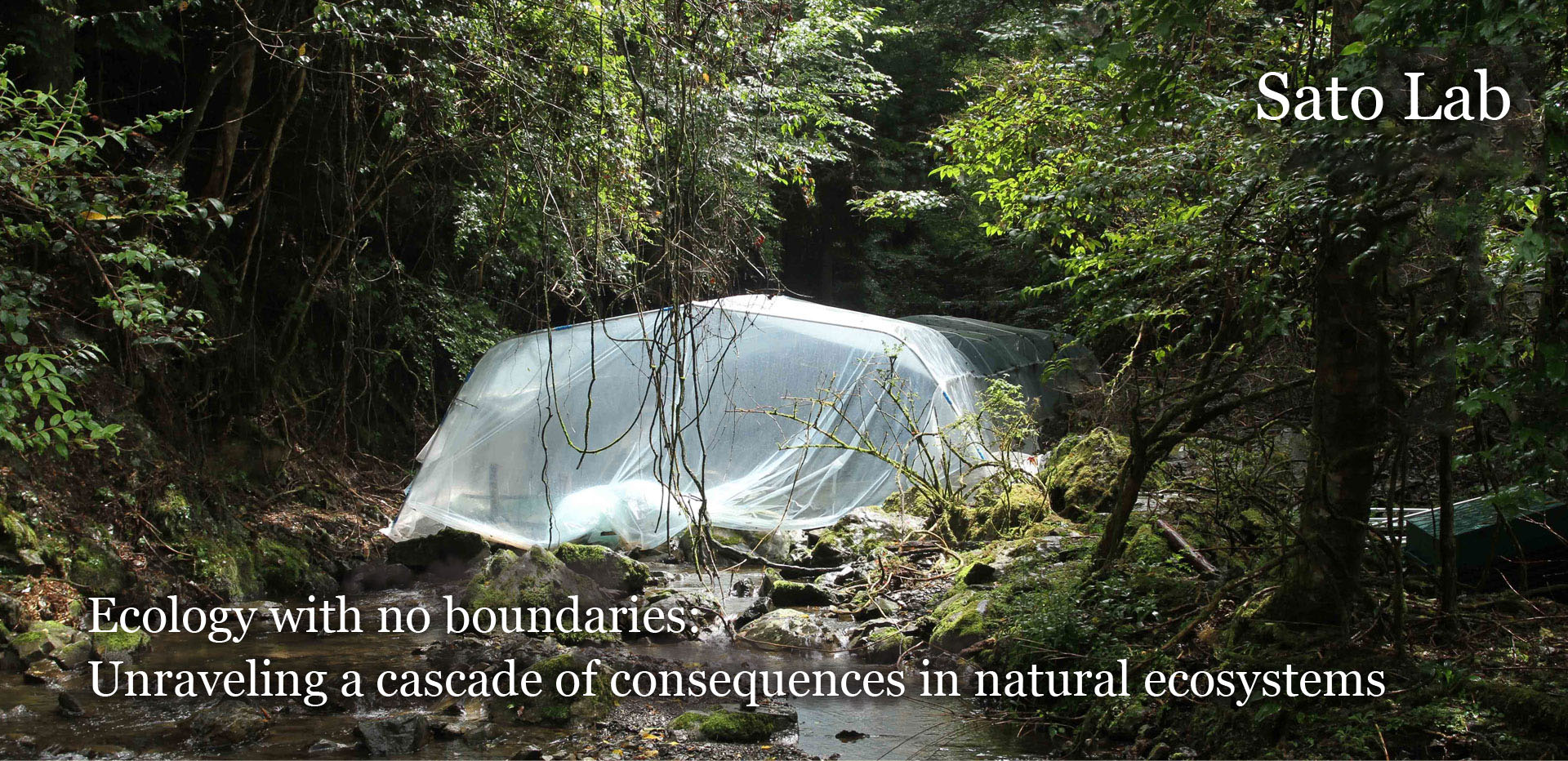 Sato Laboratory, Kobe University, Ecology with no boundaries: Unraveling a cascade of consequences in natural ecosystems