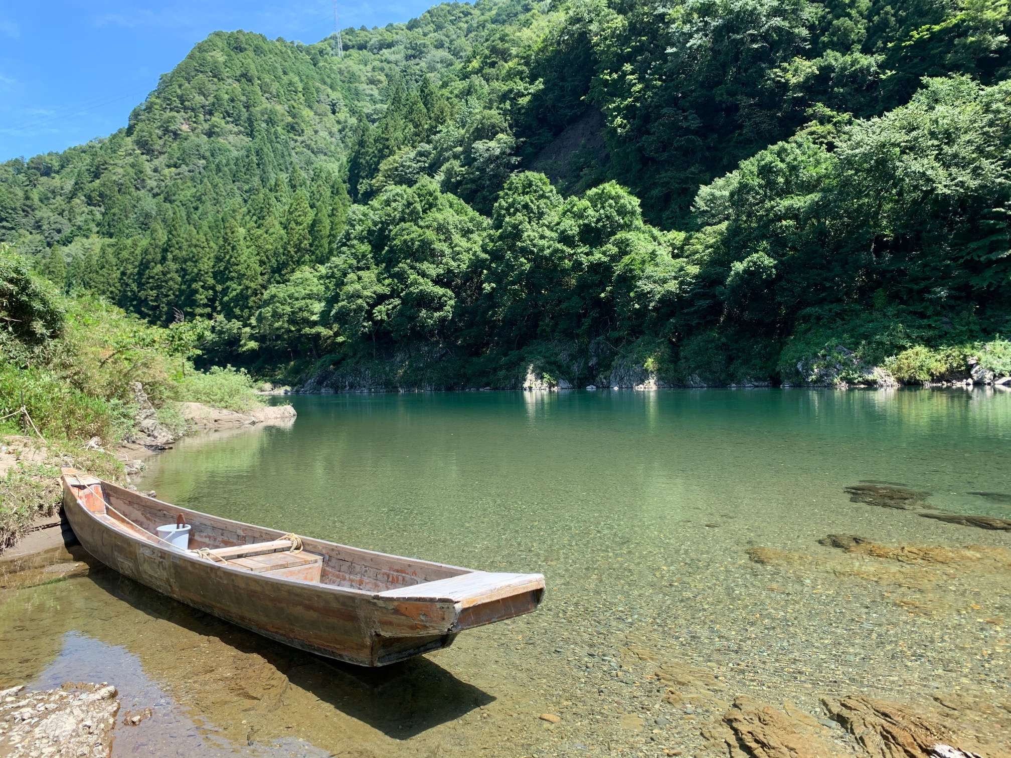 京都大学 佐藤研究室　つながりの生態学 生物間相互作用の連鎖を紐解く